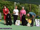 Sent Djons Zvezdochet