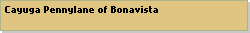 Cayuga Pennylane of Bonavista