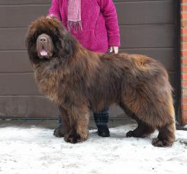 Sent Djons Tugethe at Last