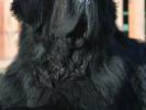 Apachees All Around Me