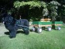Kodiak Acres Bowater's Dark Shadow