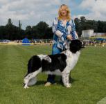     CACIB  -2011 . 