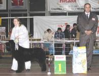    -2005