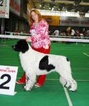    2007 International Dog Show CACIB FCI Russia 2007