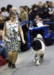   CACIB  2010-2 . 