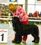    -  - 2007. Regional Dogshow Delta - Pal - 2007