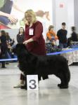    CACIB   2010-2 . 