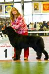    -  - 2007. Regional Dogshow Delta - Pal - 2007