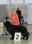 Всепородная CACIB Интернациональная Cанкт Питербург Невский Победитель Internacional Dogshow St.Piterburg 